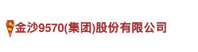 金沙9570(集团)股份有限公司环保出行新标配，超越期待！